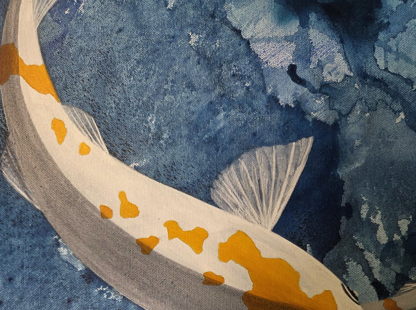 Koi