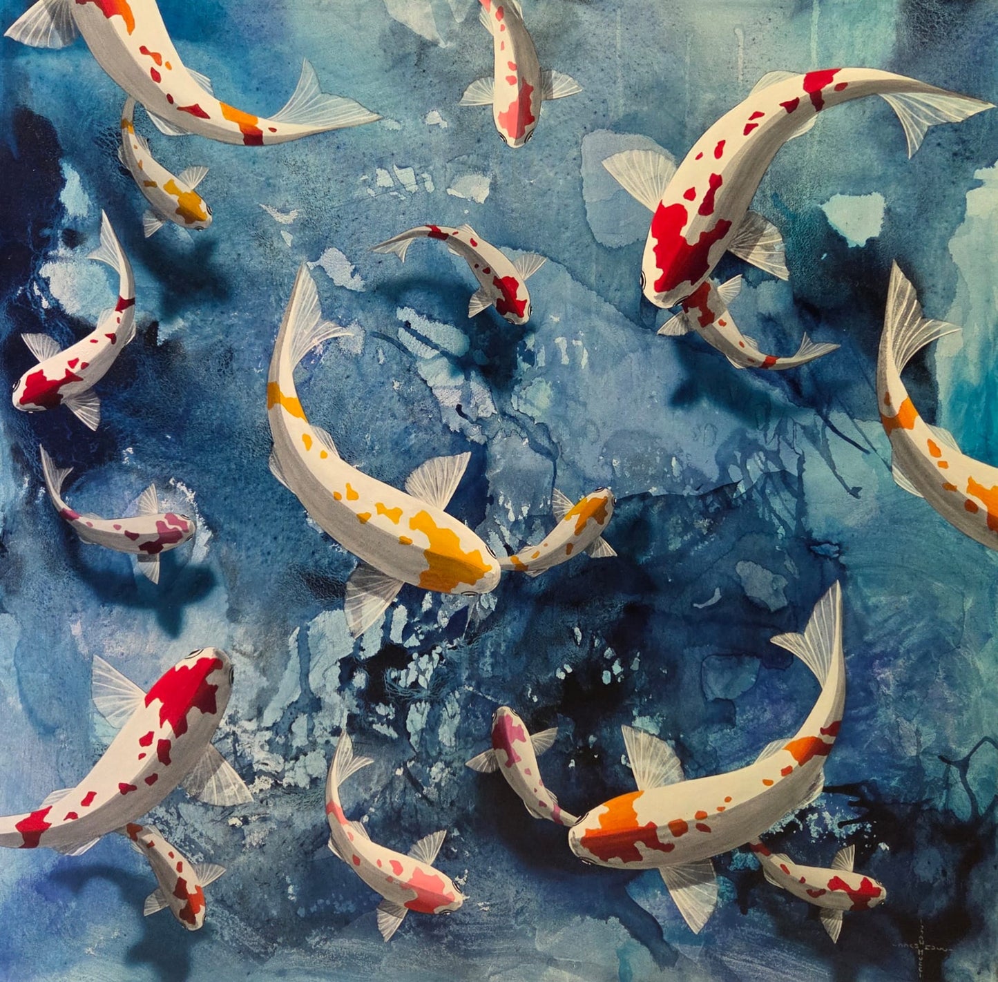 Koi