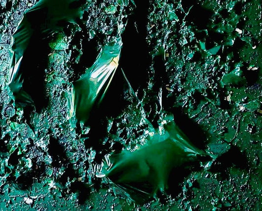 Green Pepper