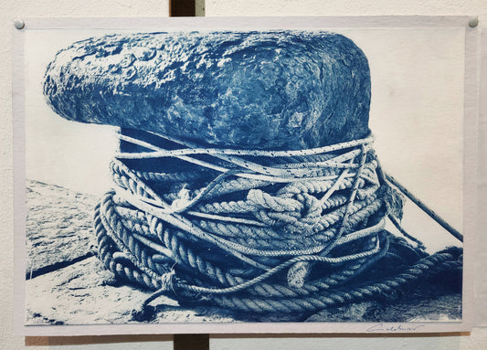 Radici nel Mare